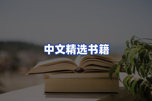 中文精选书籍